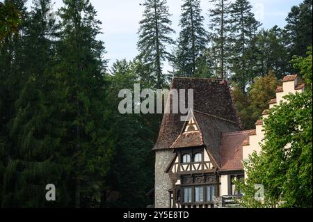 Die Schlösser Peles und Pelisor im Herbst im Sinaia-Wald, Siebenbürgen, Rumänien Stockfoto