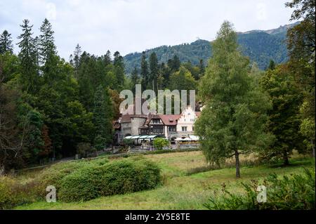 Die Schlösser Peles und Pelisor im Herbst im Sinaia-Wald, Siebenbürgen, Rumänien Stockfoto