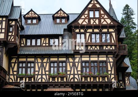 Die Schlösser Peles und Pelisor im Herbst im Sinaia-Wald, Siebenbürgen, Rumänien Stockfoto