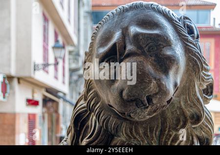 Die städtische Skulptur, bekannt als Leon (Löwe), befindet sich auf der Plaza de la Constitución, Oviedo, Asturien, Spanien. Die Skulptur aus Stein ist das Werk Stockfoto