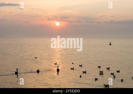 London, Großbritannien. September 2024. Wetter in Großbritannien. Sonnenuntergang über dem Whitstable Strand an der Küste von Kent, da Gewitter voraussichtlich starken Regen am sonntag bringen werden, England Großbritannien. Quelle: Glosszoom/Alamy Live News Stockfoto