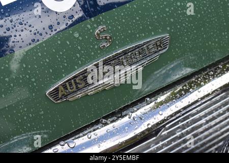 Beesd, Niederlande - 13. September 2024: Nahaufnahme des Logos eines klassischen Austin Mini Cooper S aus dem Jahr 1968 Stockfoto