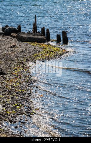 Das Meer glitzert am Roberts Creek Beach an der Sunshine Coast in British Columbia, Kanada. Stockfoto