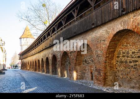 Verteidigungsmauer der Zitadelle. Alte Verteidigungsmauer in der Cetatii-Straße in Sibiu, Rumänien Stockfoto