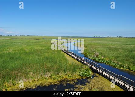 Menschen, die auf der Promenade in einem Sumpfgebiet im Point Pelee National Park in Ontario, Kanada, spazieren gehen Stockfoto