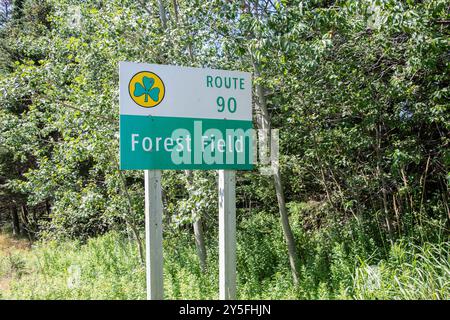 Wegweiser Route 90 in Forest Field, Neufundland & Labrador, Kanada Stockfoto