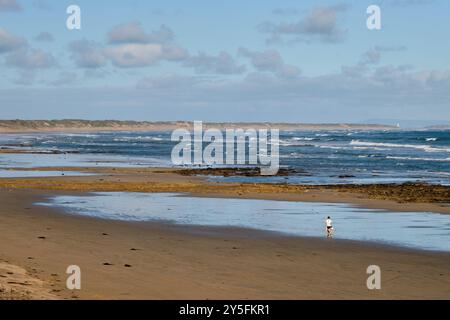 Ein Mann mit seinem Hund joggt am Strand - Ocean Grove, Victoria, Australien Stockfoto