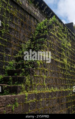 Kolhapur, Indien - 8. September 2024 Überreste einer alten Steintreppe am Panhala Fort, die in Kolhapur Maharashtra Indien mit Gras überwachsen ist Stockfoto