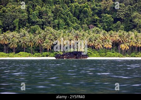 Abseits der Touristenpfade Labengki Archipel, tropisches Paradies, abgelegene Lagunen, Sandstrände, interessante Felsformationen, Dschungel, sulawesi, indonesien Stockfoto