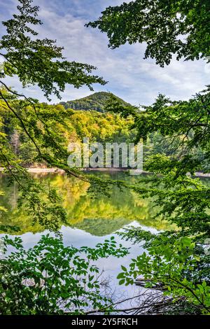 Morské oko, natürlicher See im Buchenwald, Naturschutzgebiet Vihorlat, Spätsommer, Vihorlat-Gebirge, Karpaten, Region Kosice, Slo Stockfoto