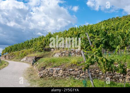 Die Straße führt durch einen Weinberg in den Bergen auf felsigem Gelände. Stockfoto