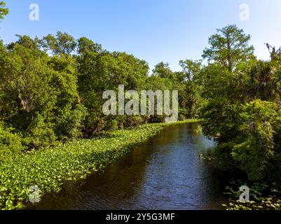 Foto von Wekiva River, Longwood, Florida, USA. April 2022. Stockfoto