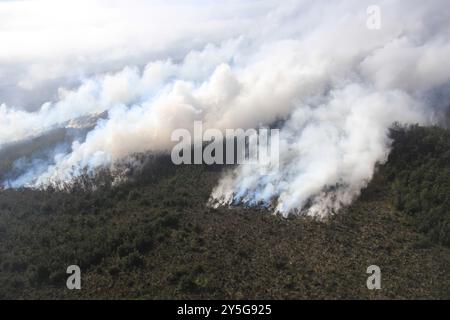 Kilauea, Vereinigte Staaten Von Amerika. August 2024. Kilauea, Vereinigte Staaten von Amerika. August 2024. Dampf und vulkanisches Gas entweichen aus der Eruption der East Rift Zone, wodurch der Wald im Napau-Krater des Kilauea-Vulkans im Hawaii Volcanoes National Park, 18. September 2024 auf Hawaii, verbrannt wird. Quelle: Michael Zoeller/USGS/Alamy Live News Stockfoto