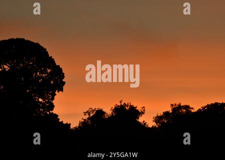 Sonnenuntergang über Chard Somerset England großbritannien Stockfoto
