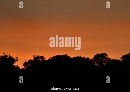 Sonnenuntergang über Chard Somerset England großbritannien Stockfoto