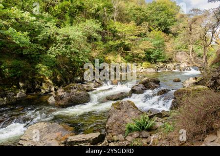 Sehen Sie den Afon Glaslyn River im Aberglaslyn Pass im Snowdonia National Park in der Nähe von Beddgelert, Gwynedd, Wales, Großbritannien Stockfoto