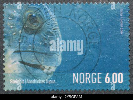 Gestempelte Briefmarke, gedruckt von Norwegen, die Atlantischen Wolfsfisch (Anarhichas Lupus) zeigt, um 2004. Stockfoto