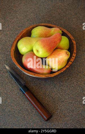 Eine Sammlung lebendiger, frisch geernteter Birnen in einer rustikalen Holzschale auf einer strukturierten Oberfläche. Ein scharfes Messer liegt neben der Schüssel, bereit für die Zubereitung Stockfoto