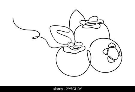Blaubeeren-Vektor-Illustration. Einzeilige Illustration mit Bio-Blaubeere. Blaubeeren im durchgehenden Zeichnungsstil. Stock Vektor
