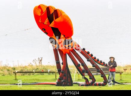 Während des Filey Kite Festivals im Filey Country Park, North Yorkshire, startet ein Mann einen Tintenfisch-förmigen Drachen. Bilddatum: Sonntag, 22. September 2024. Stockfoto