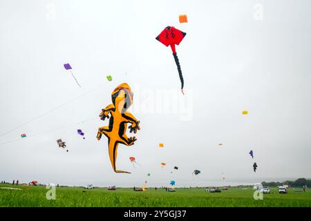 Kites während des Filey Kite Festivals im Filey Country Park, North Yorkshire. Bilddatum: Sonntag, 22. September 2024. Stockfoto