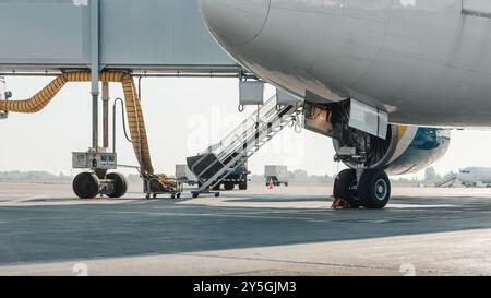 Der Breitkörperjet wird für einen Flug vorbereitet. Tiefwinkelansicht des kommerziellen Flugzeugs an der Terminal Jet Bridge am Morgen. Stockfoto
