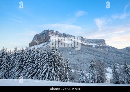 Mont Granier in der Winterzeit, natürliche Parc La Chartreuse, Savoie, Rhône-Alpes, Frankreich Stockfoto