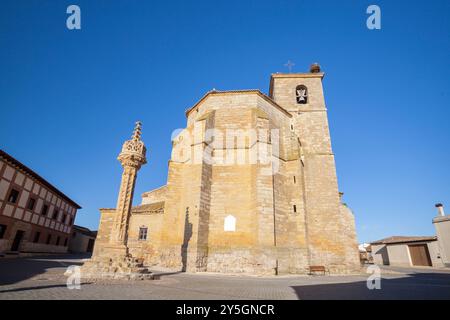 Kirche von Asunción und Rollo Jurisdiccional Denkmal, Boadilla del Camino, Jakobsweg, Palencia, Spanien Stockfoto