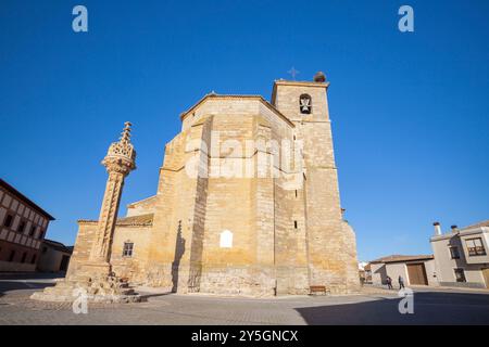 Kirche von Asunción und Rollo Jurisdiccional Denkmal, Boadilla del Camino, Jakobsweg, Palencia, Spanien Stockfoto