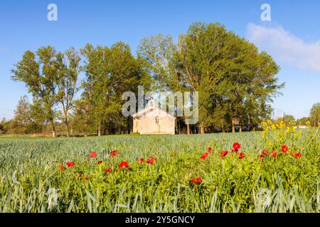 Kapelle San Miguel in Poblacion de Campos, Jakobsweg, Palencia, Spanien Stockfoto