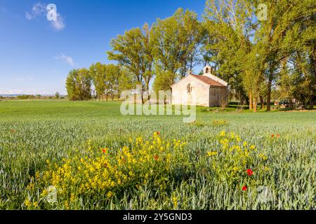 Kapelle San Miguel in Poblacion de Campos, Jakobsweg, Palencia, Spanien Stockfoto