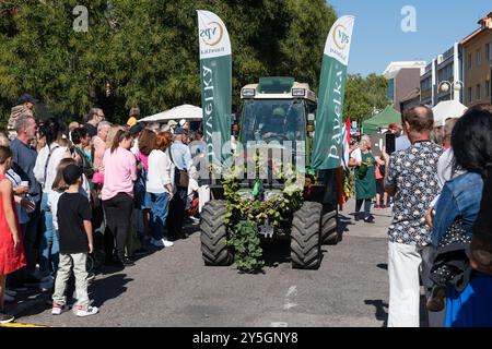 PEZINOK, SLOWAKEI - 22. September 2024: Allegorische Prozession im Rahmen der traditionellen Erntedankfeier und Kostümparade in Pezinok Stockfoto