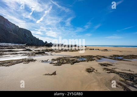 Glitzernder Sand am Strand Eliza in der Nähe von Sandymouth im Nordwesten von Cornwall, Großbritannien Stockfoto