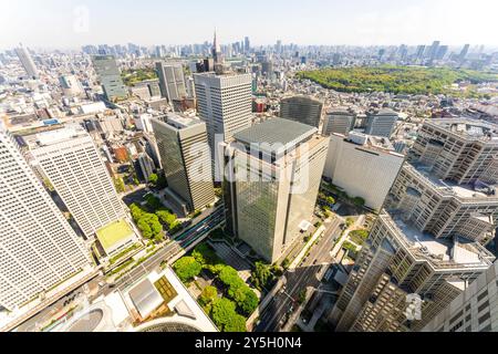 Hohe Bürogebäude und die Skyline von Tokio von der Aussichtsebene des Metropolitan Building aus gesehen. Shinjuku NS-Gebäude und Gyoen National Garden Stockfoto