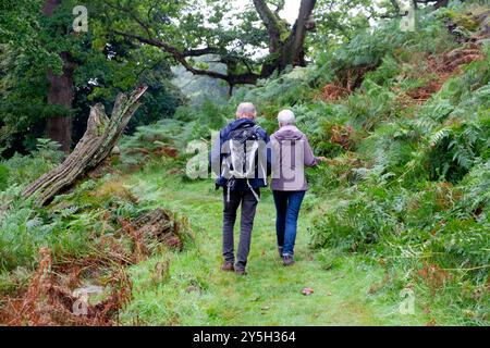 Rückansicht älteres Ehepaar, das in der Natur auf einem grasbewachsenen Pfad in der Waldlandschaft spaziert Llandeilo Hirschpark Herbst Wales Großbritannien September 2024 KATHY DEWITT Stockfoto