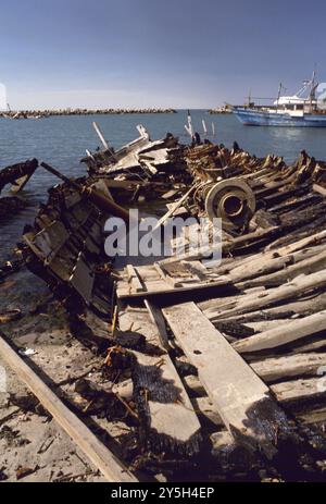 Erster Golfkrieg: Am 8. März 1991 wurden die Überreste der Kuwait-Dau-Flotte durch die irakische Armee zerstört und im Hafen der alten Schiffe in Kuwait City verstreut. Die hölzernen Fischerboote sind Kuwaits nationales Symbol. Stockfoto