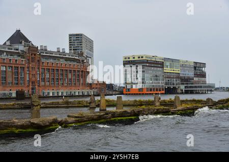 Amsterdam, Niederlande. August 2024. Das Westdok im IJ in Amsterdam. Hochwertige Fotos Stockfoto