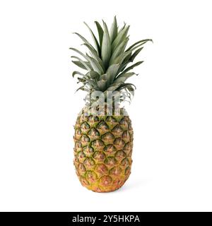 Ananas isoliert auf weißem Hintergrund, Beschneidungspfad Stockfoto