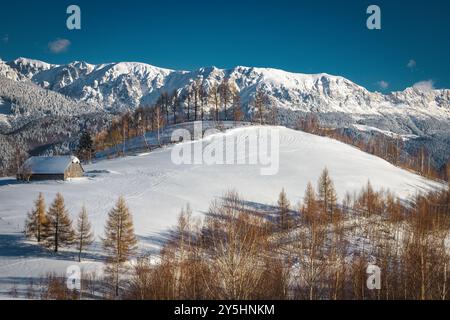 Atemberaubende Winterlandschaft mit schneebedeckten Feldern und spektakulären hohen Bergen im Hintergrund, Bucegi-Berge, Karpaten, Rumänien, Europa Stockfoto