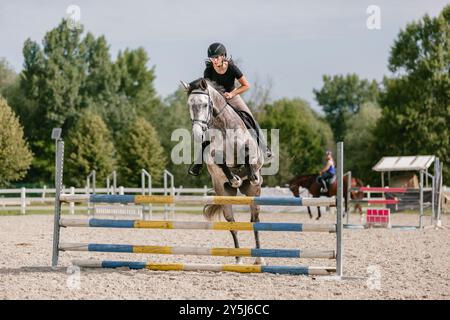 Eine Reiterin auf einem pappelgrauen Pferd, die an einem sonnigen Sommertag in der Outdoor-Arena über drei Bars springt. Pferdesport-Wettbewerbskonzept. Stockfoto