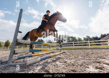 Professionelle Pferde, die den Hürdensprung auf ihrem wunderschönen Pferd in einer Outdoor-ReitArena mit Hindernissen und sandigem Boden trainieren Stockfoto