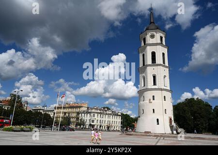 Vilnius, Litauen - 22. Juli 2024: Glockenturm Der Kathedrale Von Vilnius Stockfoto