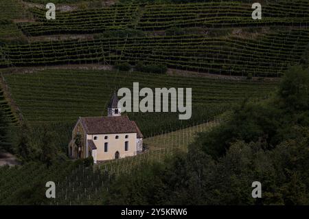 Wallfahrtskirche St. Valentine, Valentinskirche, zwischen Weinbergen, Weinbergen, Maia Alta, Meran, Meran, Südtirol, autonome Provinz Bo Stockfoto