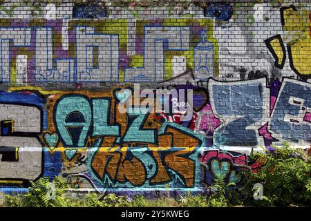 Graffiti an einer Wand, Braunschweig, Niedersachsen, Deutschland, Europa Stockfoto