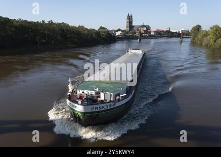 Lastkahn, Fahrt auf der Elbe, Magdeburger Dom dahinter, Liftbrücke, Magdeburg, Sachsen-Anhalt, Deutschland, Europa Stockfoto