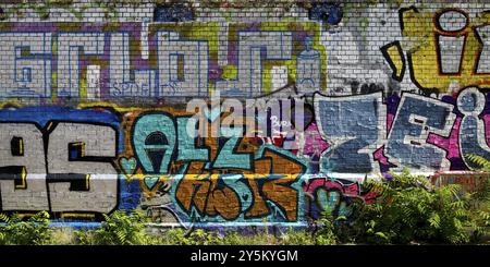 Graffiti an einer Wand, Braunschweig, Niedersachsen, Deutschland, Europa Stockfoto