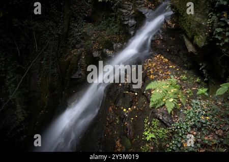 Wasserfall auf dem Maiser Waalweg, Bach, Langzeitbelichtung, Schenna, Schenna, Schenna, Südtirol, Autonome Provinz Bozen, Italien, Europa Stockfoto