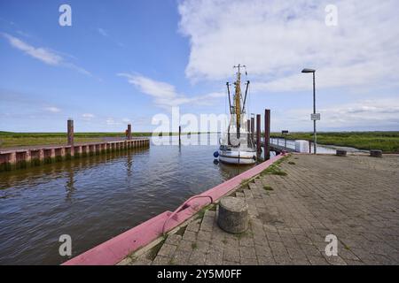 Fischschneider Hein Godenwind an der Schleuse Varel in Varel, Landkreis Friesland, Niedersachsen, Deutschland, Europa Stockfoto