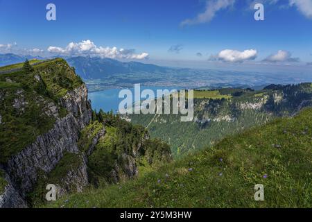 Panoramablick auf Thunersee und Alpen in der Schweiz Stockfoto