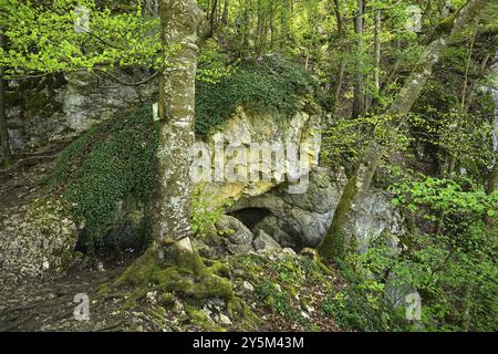 Schiller Höhle bei Hohenwittlingensteig, Biosphärenreservat Schwäbische Alb, Baden-Württemberg, Deutschland, Biosphärenreservat Schwäbische Alb, Schiller Höhle bei t Stockfoto